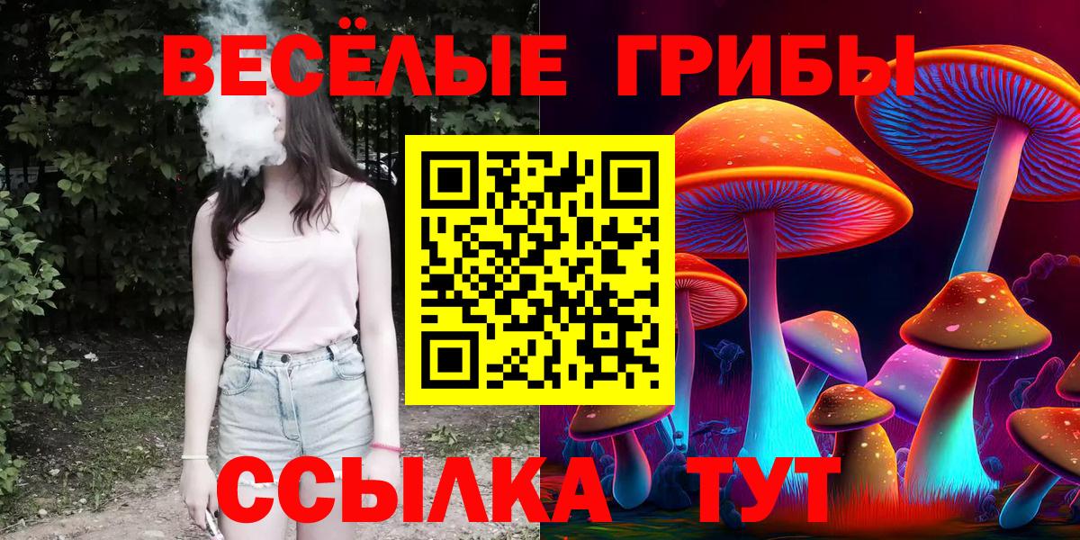 Галлюциногенные грибы Psilocybe Звенигород