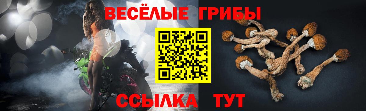 Звенигород  Галлюциногенные грибы Psilocybe  Вход с VPN 